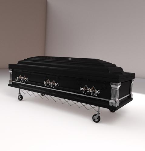 Coffin preview image